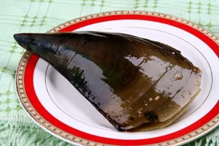 49  带子-阳滩鱼港(2006)