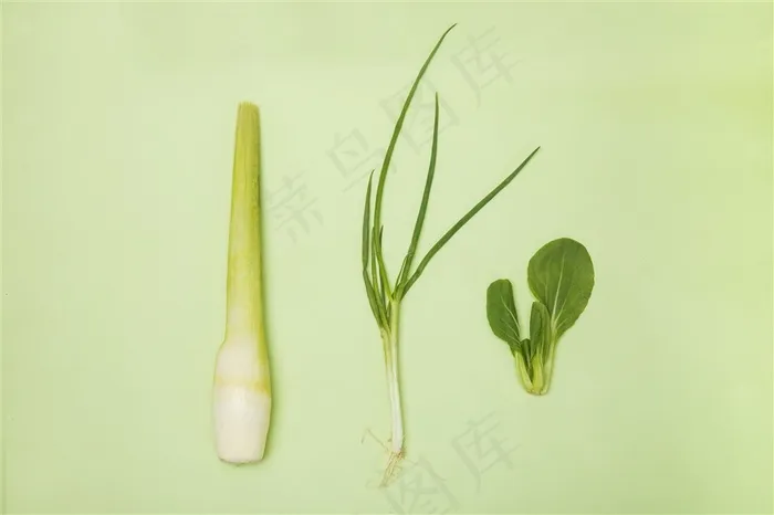 新鲜茭白菠菜小葱图片