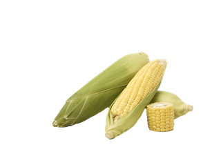 玉米 (7)超市商品白底图免抠实物摄影png格式图片透明底