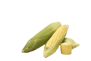 玉米 (7)超市商品白底图免抠实物摄影png格式图片透明底