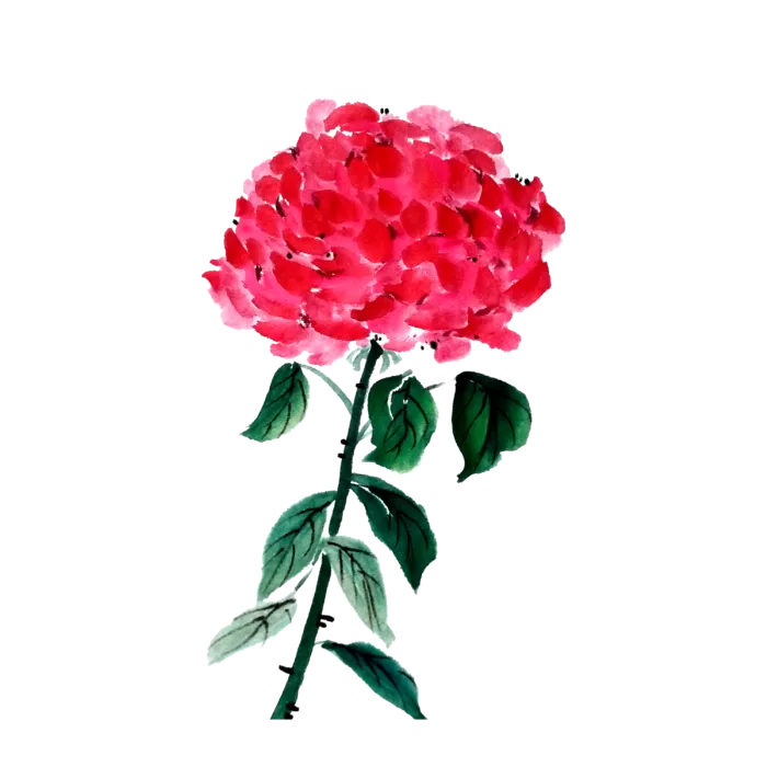 鲜花玫瑰免扣素材
