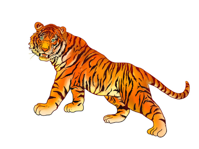 手绘国潮虎年卡通白虎老虎形象插画装饰元素PSD设计素材png免抠图