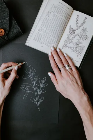 白色彩铅绘画图片