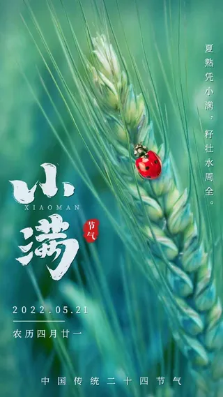 小满 小满营销海报