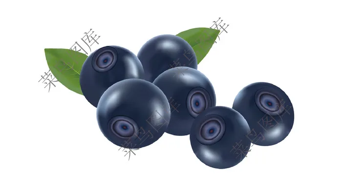 蓝莓高清图片psd模版下载