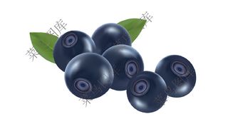 蓝莓高清图片