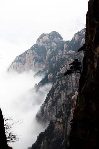 安徽黄山奇松风景图片-第9张