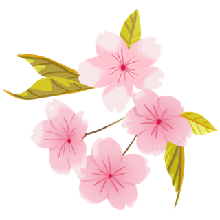 春天浪漫粉红色樱花手绘樱花梅花桃花花朵图片PNG免扣素材