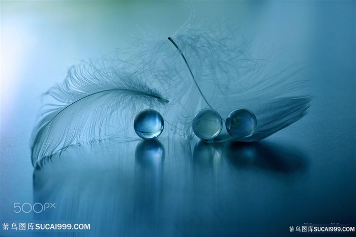 高清羽毛弹球摄影图片