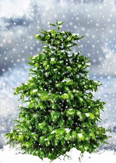 圣诞节雪花装饰风景