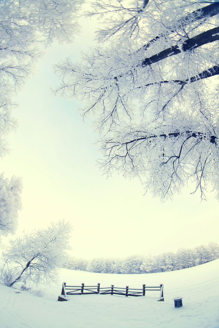 美丽的冬天雪景高清