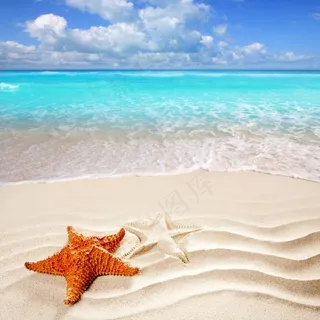 高清海洋海星风景图片素材 高清海洋海星风景图片素材