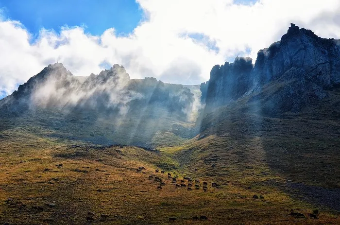 冬天自然背景风景
