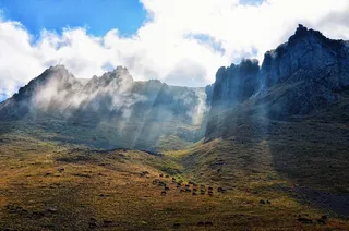 冬天自然背景风景