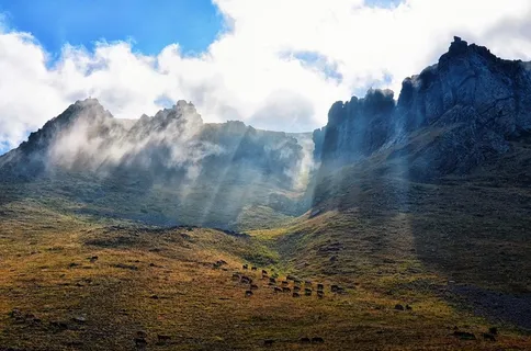 冬天自然背景风景 冬天自然背景风景