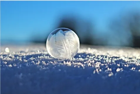 冬天雪花背景风景 冬天雪花背景风景