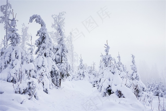 冬季雪地风景图片