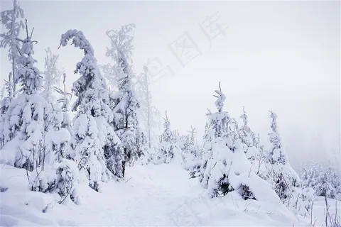 冬季雪地风景图片 冬季雪地风景图片