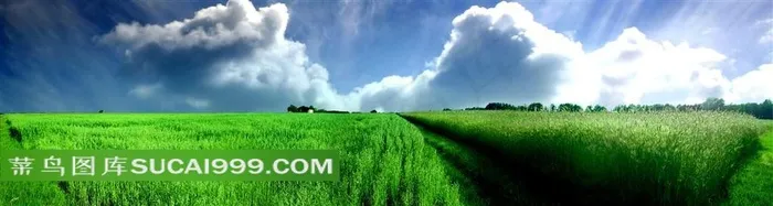 草地白云蓝天风光图片下载