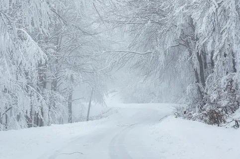 冬天自然背景风景