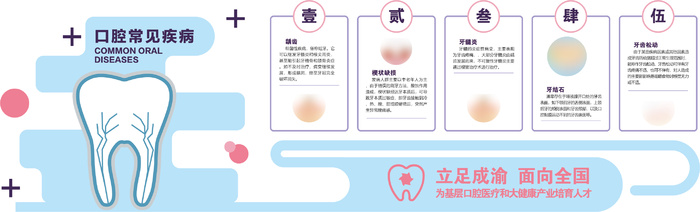 现代医疗校园文化墙07