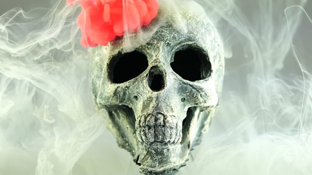 头骨, 骨骼, 恐惧, 死亡, 人类, 墨水, 画, 那