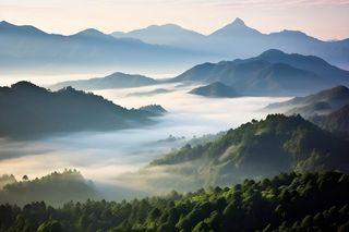 山脉树林高空摄影