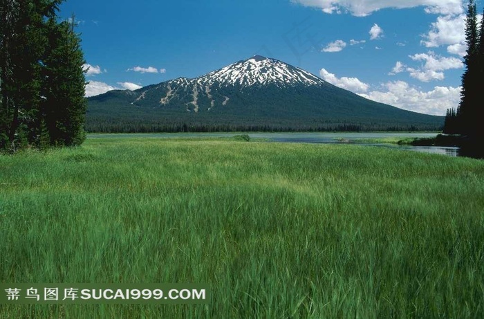陆地旷野穿过草地是雪山