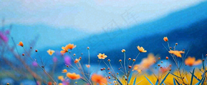 简约橙色小花鲜花，蓝色天空山脉虚幻意境摄影图(1712x704)
