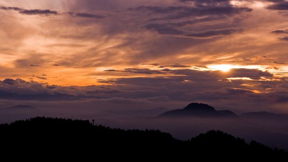 百花齐 和风细雨