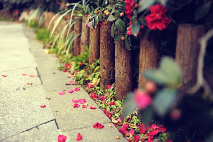 非主流壁纸图片