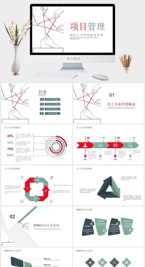 公司企业项目管理流程PPT模板预览图