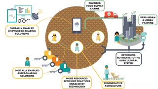 农业生产流程现代农业