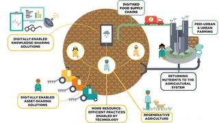 农业生产流程现代农业