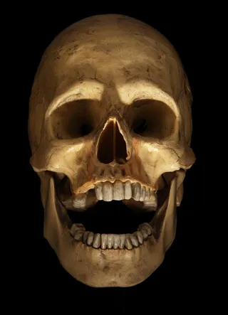 恐怖的骷髅头高清大图