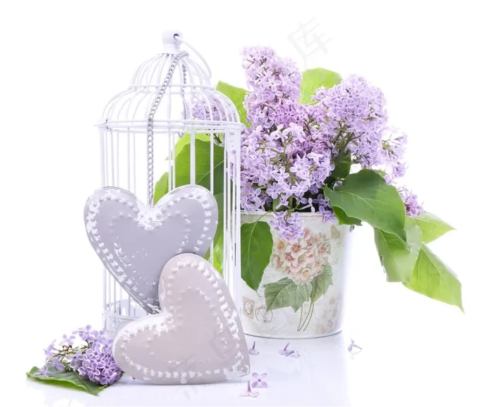 美丽的紫色鲜花