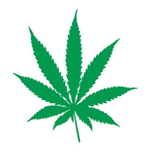 大麻PNG免抠(800x800)
