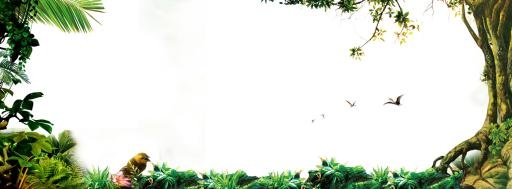 丛林 PNG免抠(1620x600)