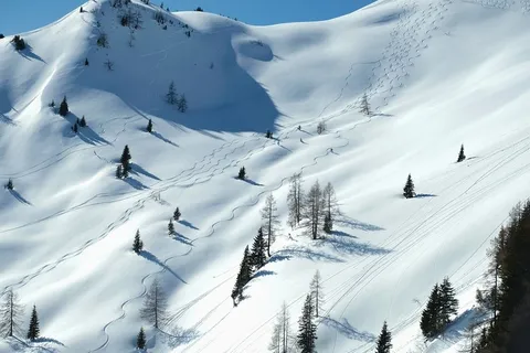 冬天自然背景风景 冬天自然背景风景
