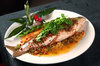 XTS015江湖菜-食尚过水鱼