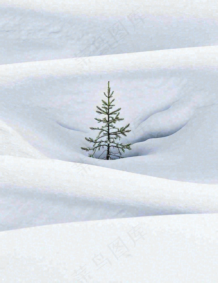 冬天意境简约松树雪地，立冬冬至小雪大雪小寒大寒(960x1248)