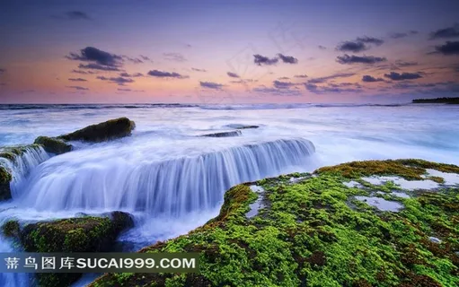 仙境般的巴厘岛风景图片植物