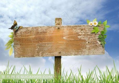 草地上的指示牌图片