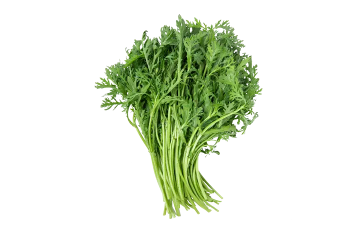 茼蒿蔬菜素材免扣