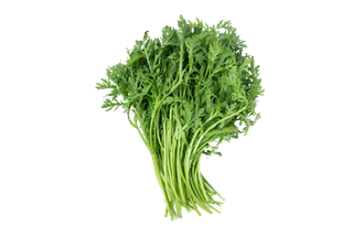 茼蒿蔬菜素材免扣