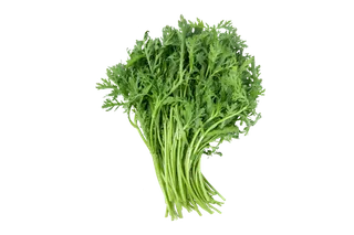 茼蒿蔬菜素材免扣