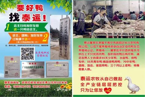 屠宰宣传单源文件设计开业彩页