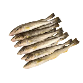 鱼类(35)海鲜超市商品红酒白底图免抠实物摄影png格式图片透明底