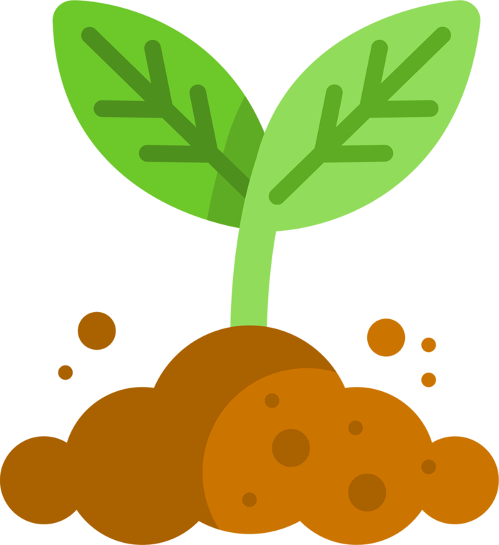 种植幼苗现代农业