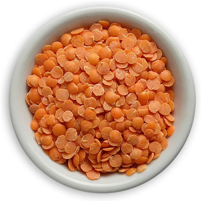 现代农业食物片